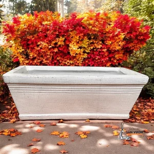 Chậu Gốm Chữ Nhật Trồng Cây Sân Thượng - Chậu Trồng Cây Trong Nhà